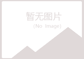 铁岭伤口能源有限公司